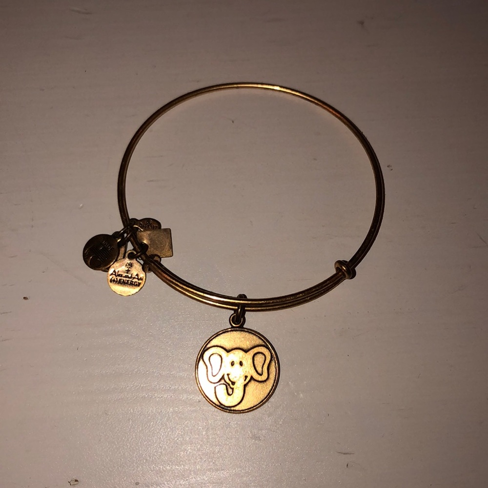 Alex and Ani Bracelet